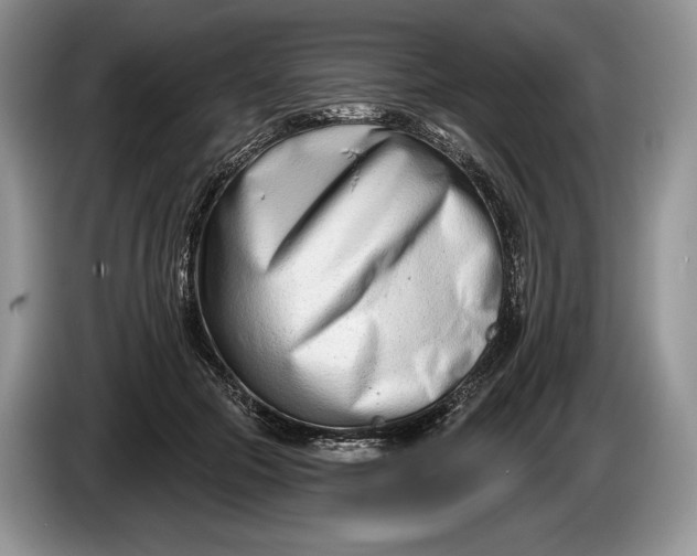 X0000086270553200704122031