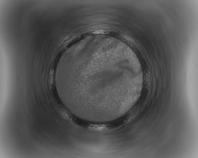 X0000086270554200704122031