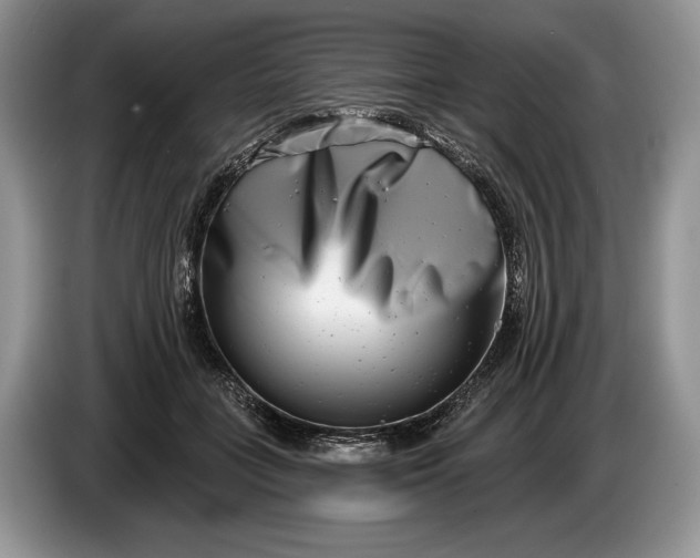 X0000086270555200704122031