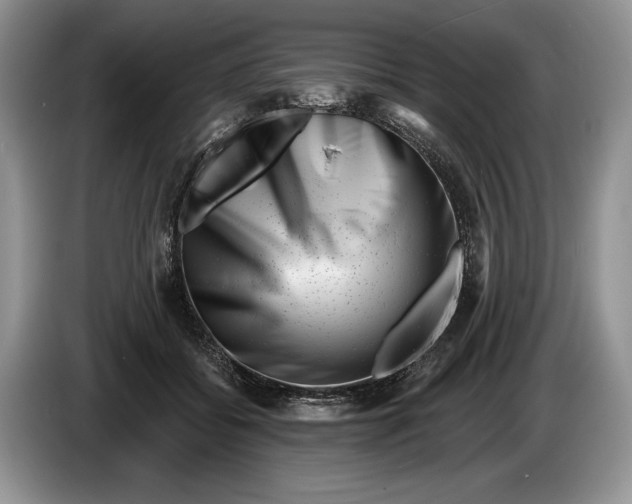 X0000086270556200704122031