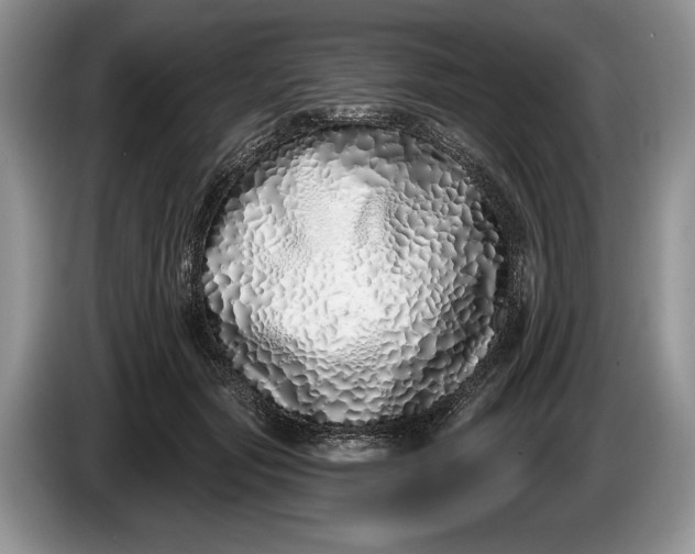 X0000086270557200704122031