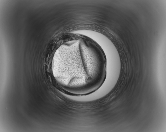 X0000086270558200704122031