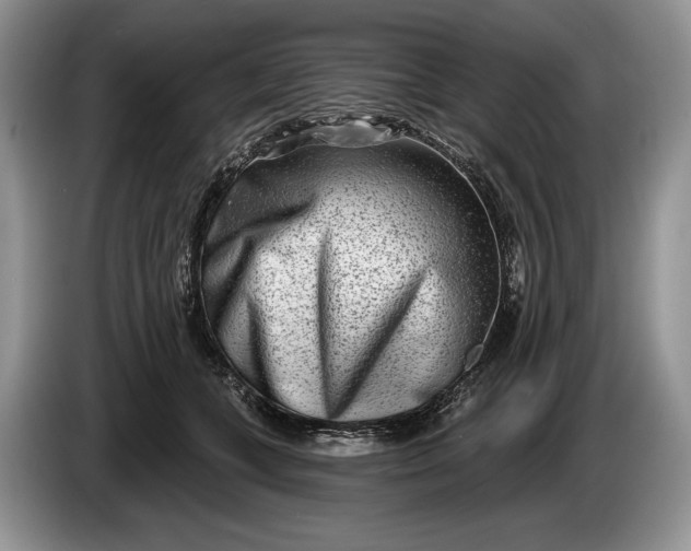 X0000086270559200704122031