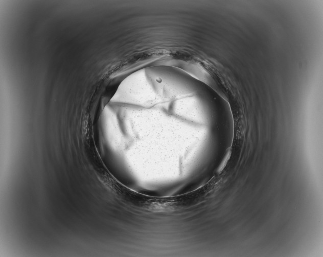 X0000086270560200704122031