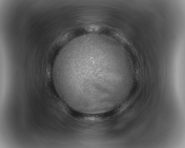 X0000086270561200704122031