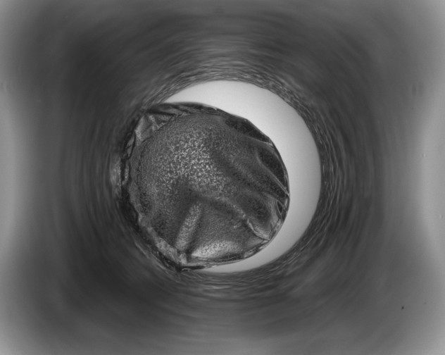 X0000086270562200704122031