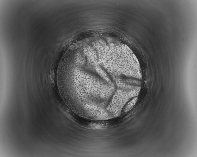 X0000086270563200704122031