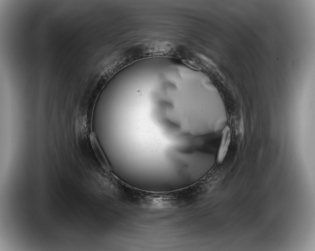 X0000086270564200704122031