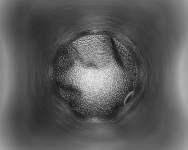 X0000086270565200704122031