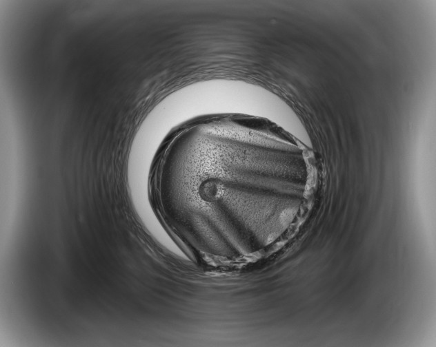 X0000086270568200704122031