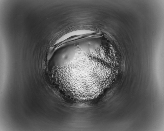 X0000086270569200704122031