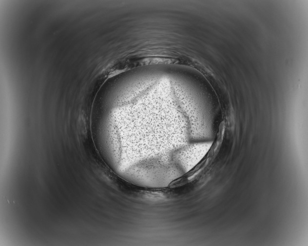 X0000086270572200704122031