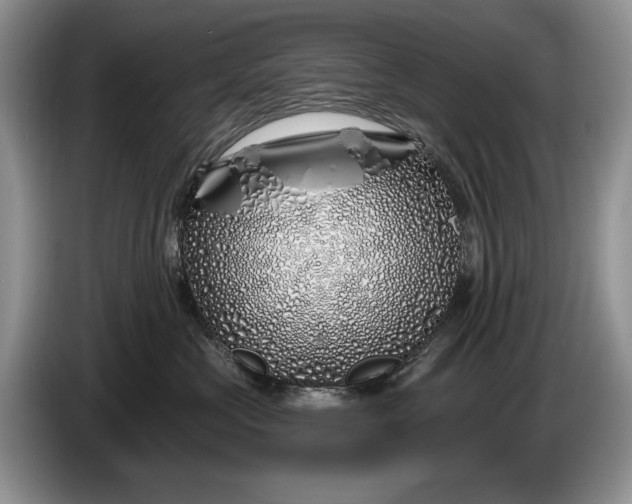 X0000086270573200704122031