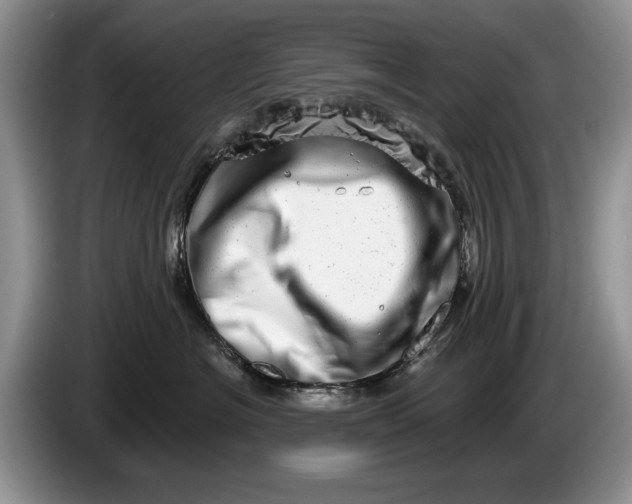 X0000086270574200704122031