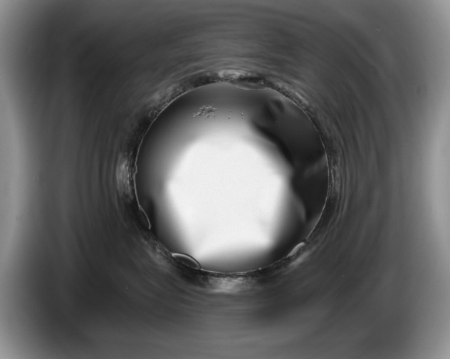 X0000086270575200704122031