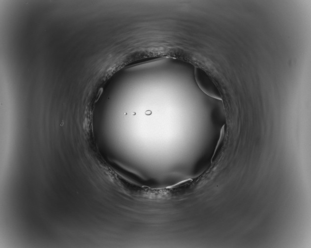 X0000086270576200704122031