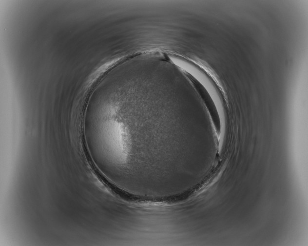 X0000086270577200704122031