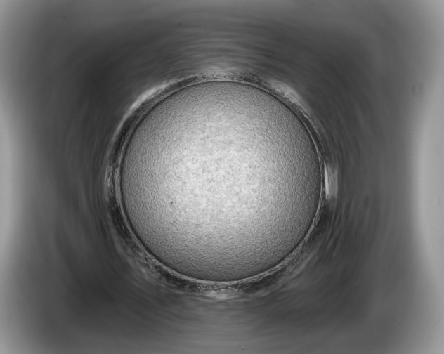 X0000086270579200704122031