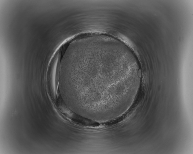 X0000086270580200704122031