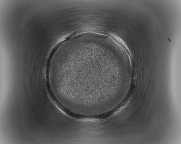 X0000086270581200704122031