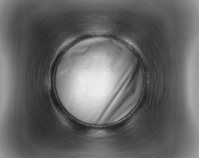 X0000086270582200704122031