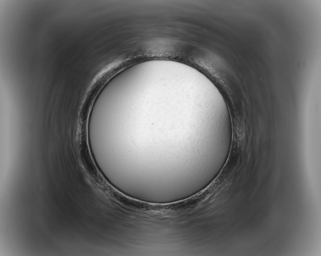 X0000086270583200704122031