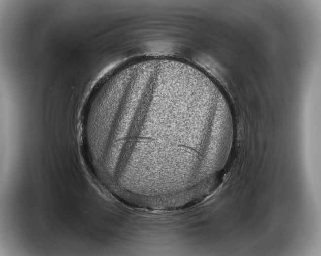 X0000086270584200704122031