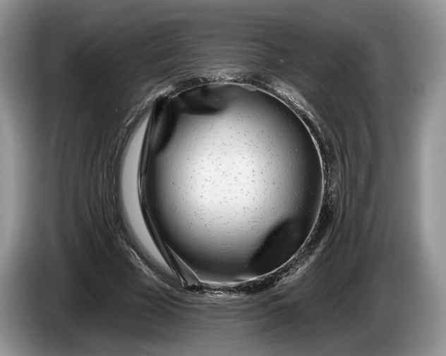 X0000086270585200704122031