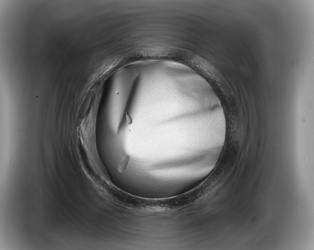 X0000086270586200704122031