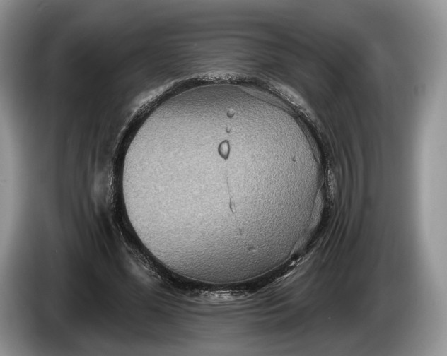 X0000086270588200704122031