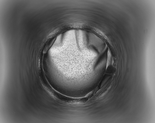 X0000086270589200704122031