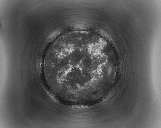 X0000086270590200704122031