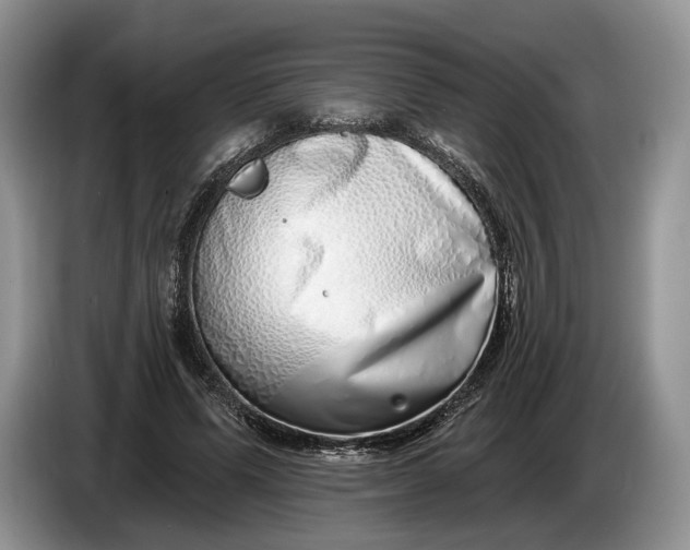 X0000086270591200704122031