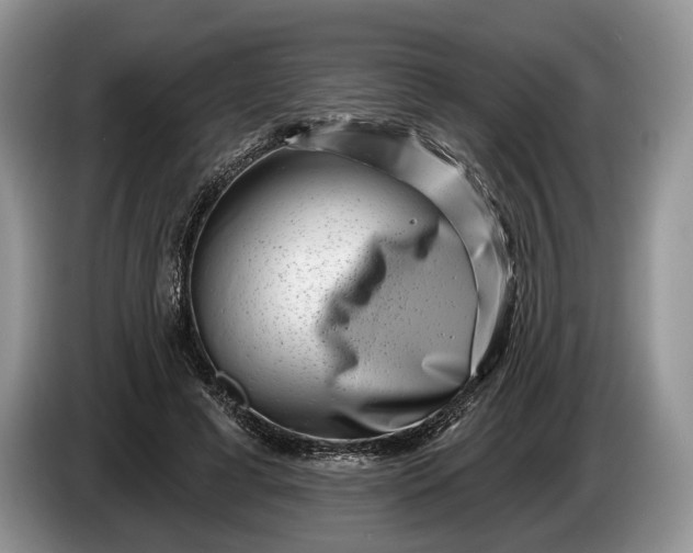 X0000086270593200704122031