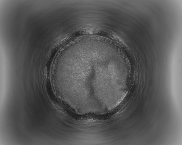 X0000086270594200704122031