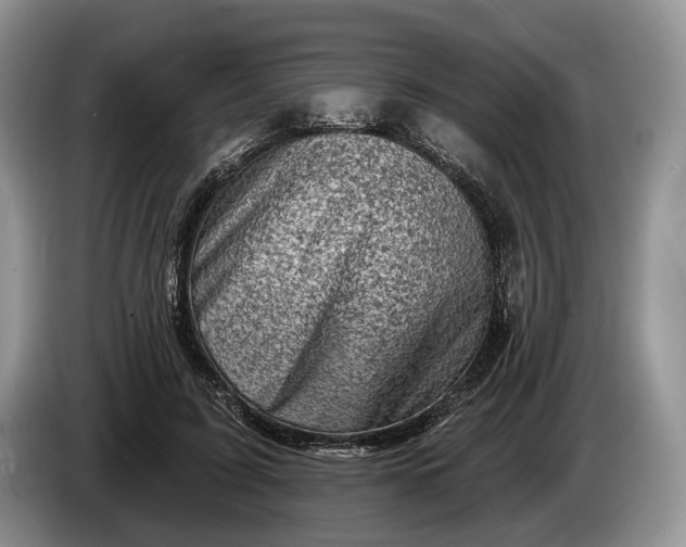 X0000086270595200704122031