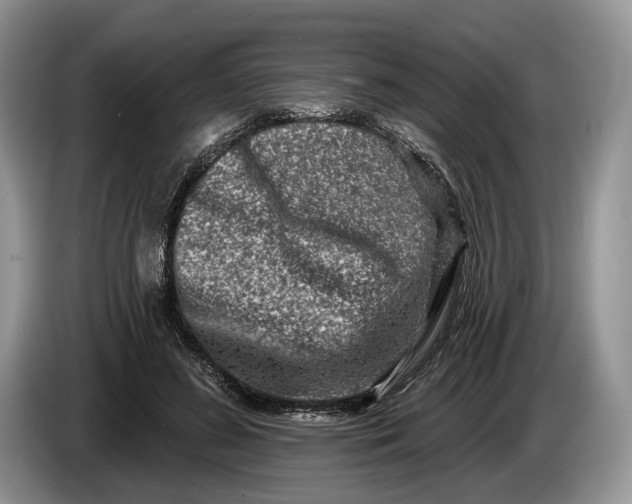 X0000086270596200704122031