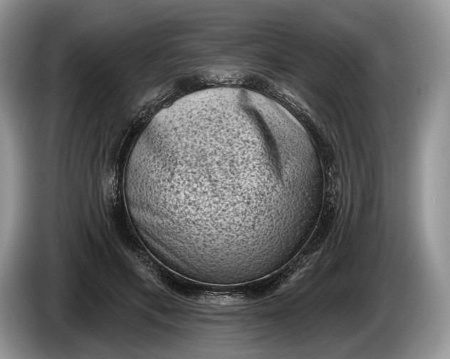 X0000086270597200704122030