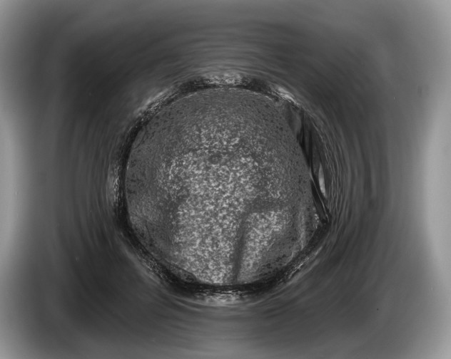 X0000086270600200704122030