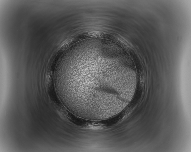 X0000086270603200704122030