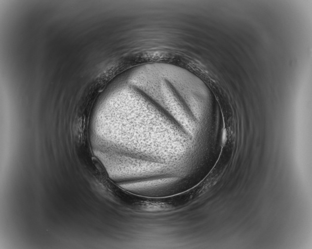 X0000086270605200704122030