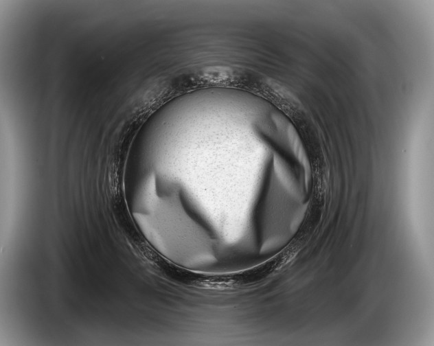 X0000086270606200704122030