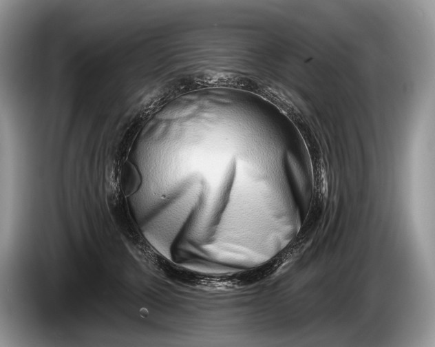 X0000086270607200704122030