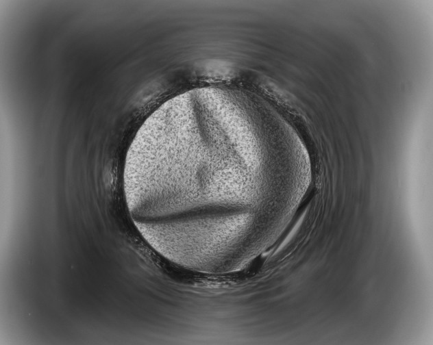 X0000086270608200704122030