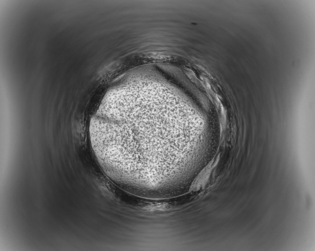 X0000086270609200704122030