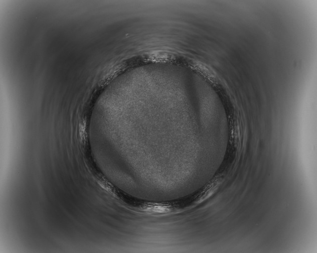 X0000086270610200704122030