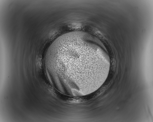 X0000086270612200704122030