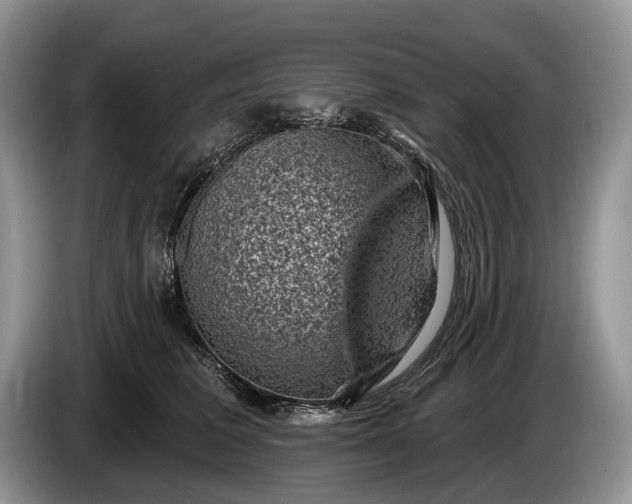 X0000086270613200704122030