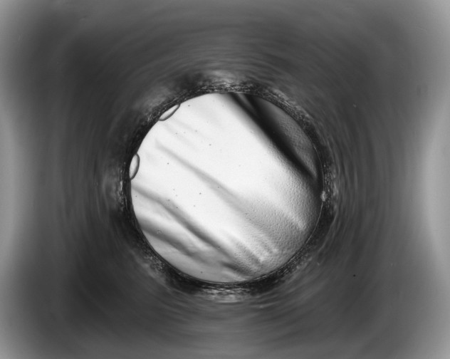 X0000086270615200704122030