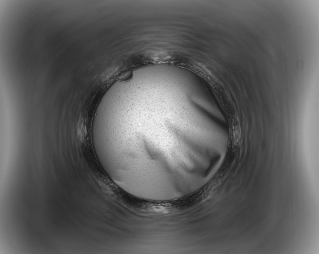 X0000086270618200704122030